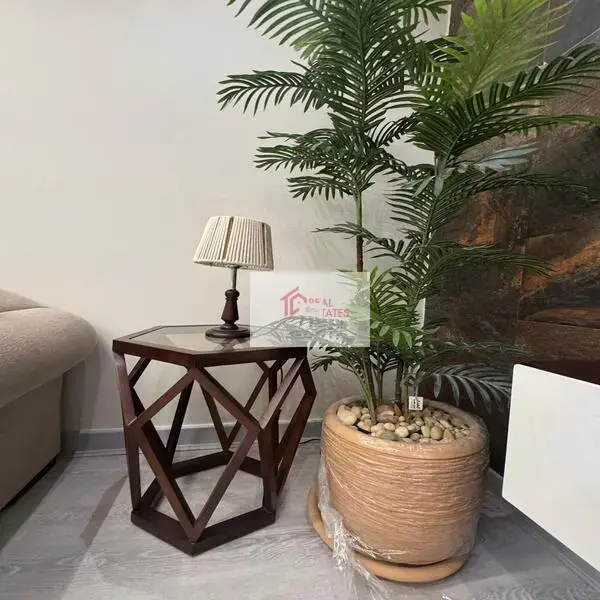 Furnished Ground Floor for Rent at West arabella 5th settlement New Cairo 1 bedrooms 1 Bathrooms egypt