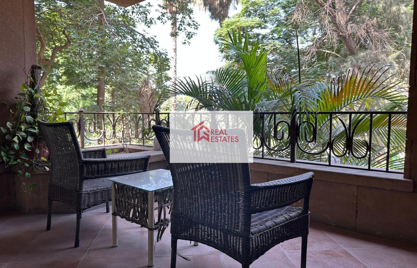 Duplex apartment rent maadi degla