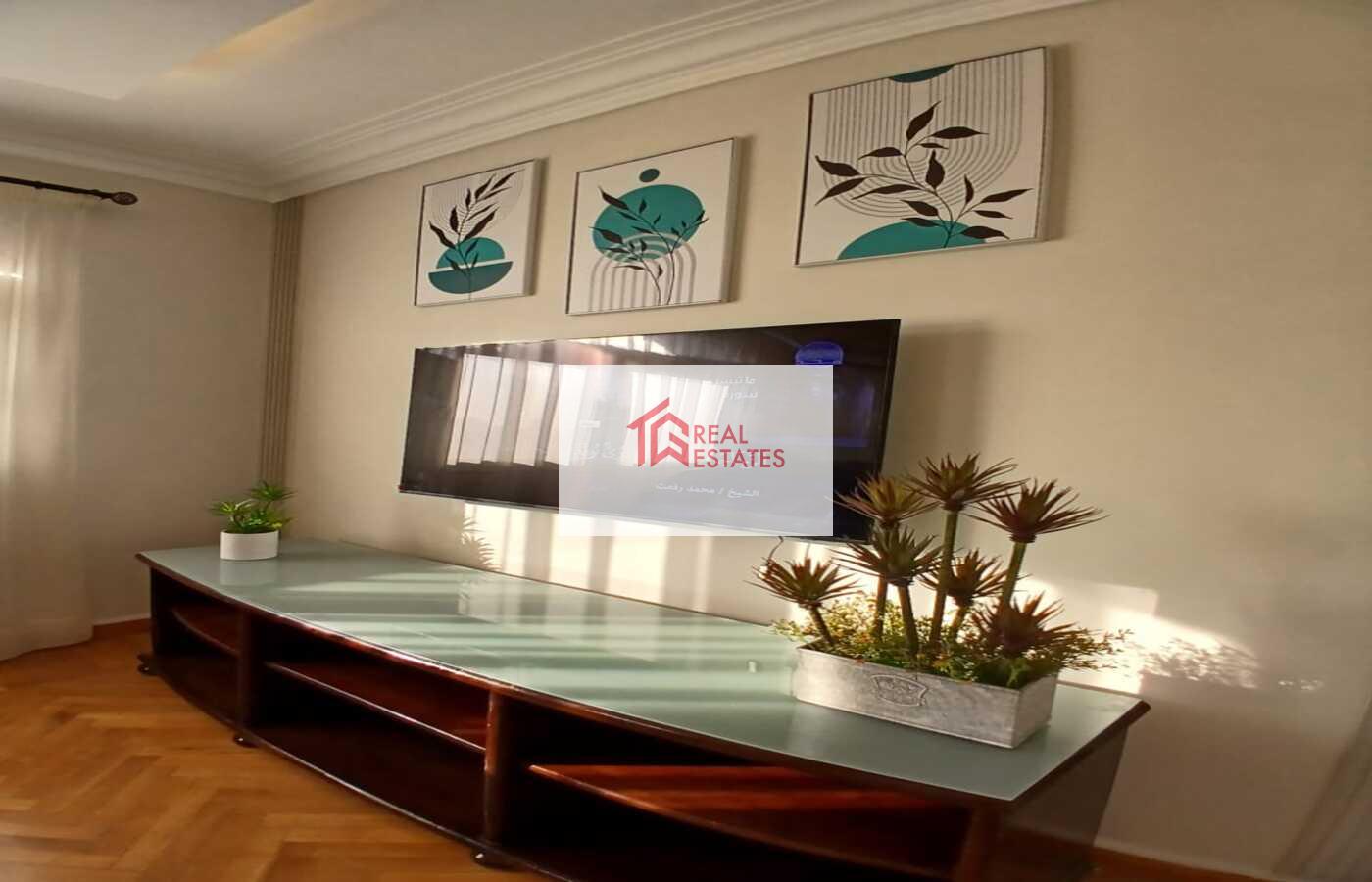 Ultra modern Furnished apartment for rent in Degla Maadi