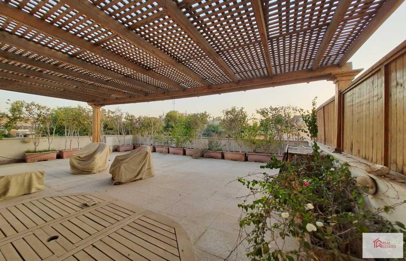 Amazing sunny Modern Penthouse Duplex shared Pool Rent in maadi