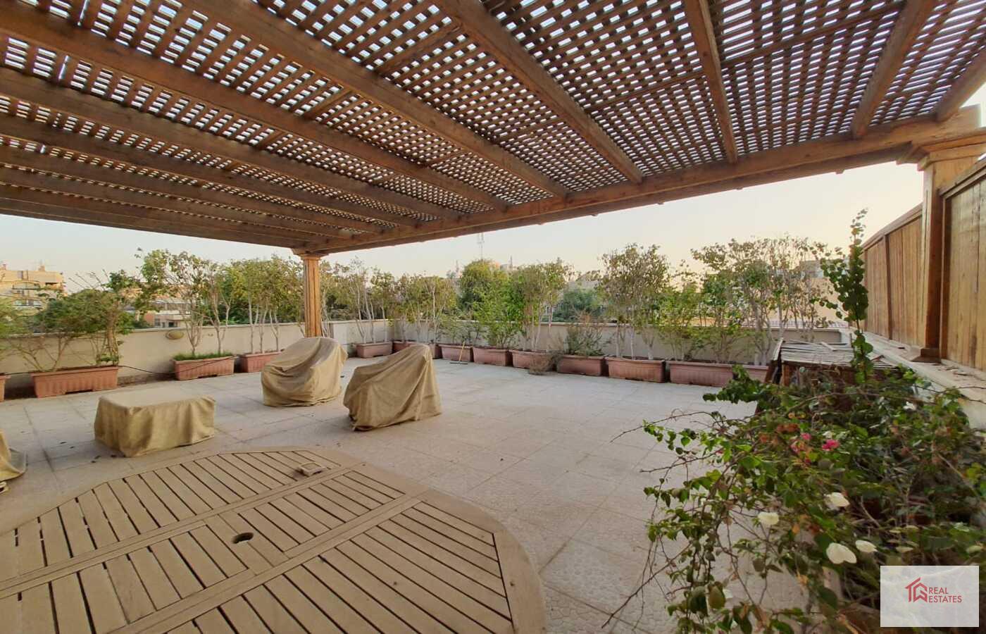 Amazing sunny Modern Penthouse Duplex shared Pool Rent in maadi