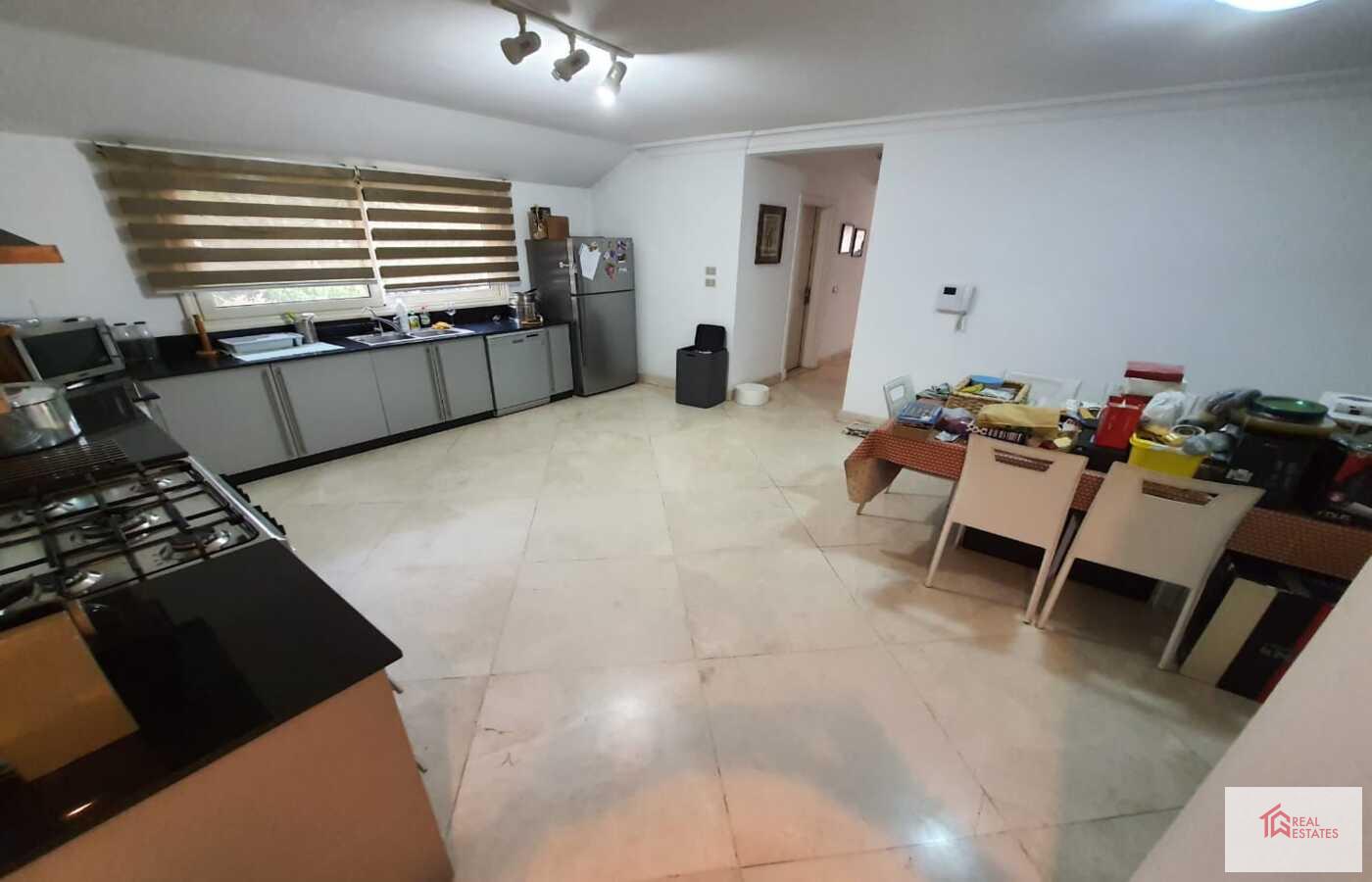 Amazing sunny Modern Penthouse Duplex shared Pool Rent in maadi