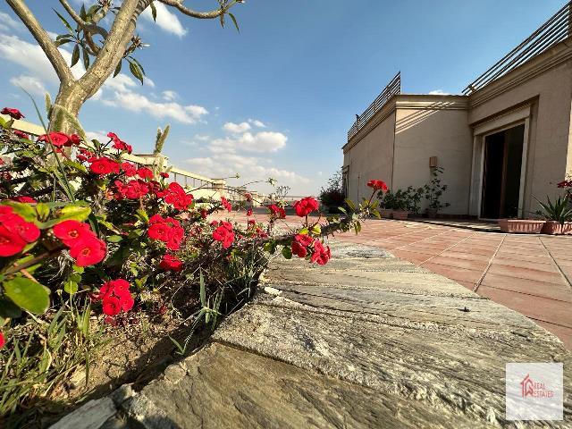 The best Penthouse rooftop garden maadi Sarayate 2 bedrooms 3 bathroom Cairo Egypt