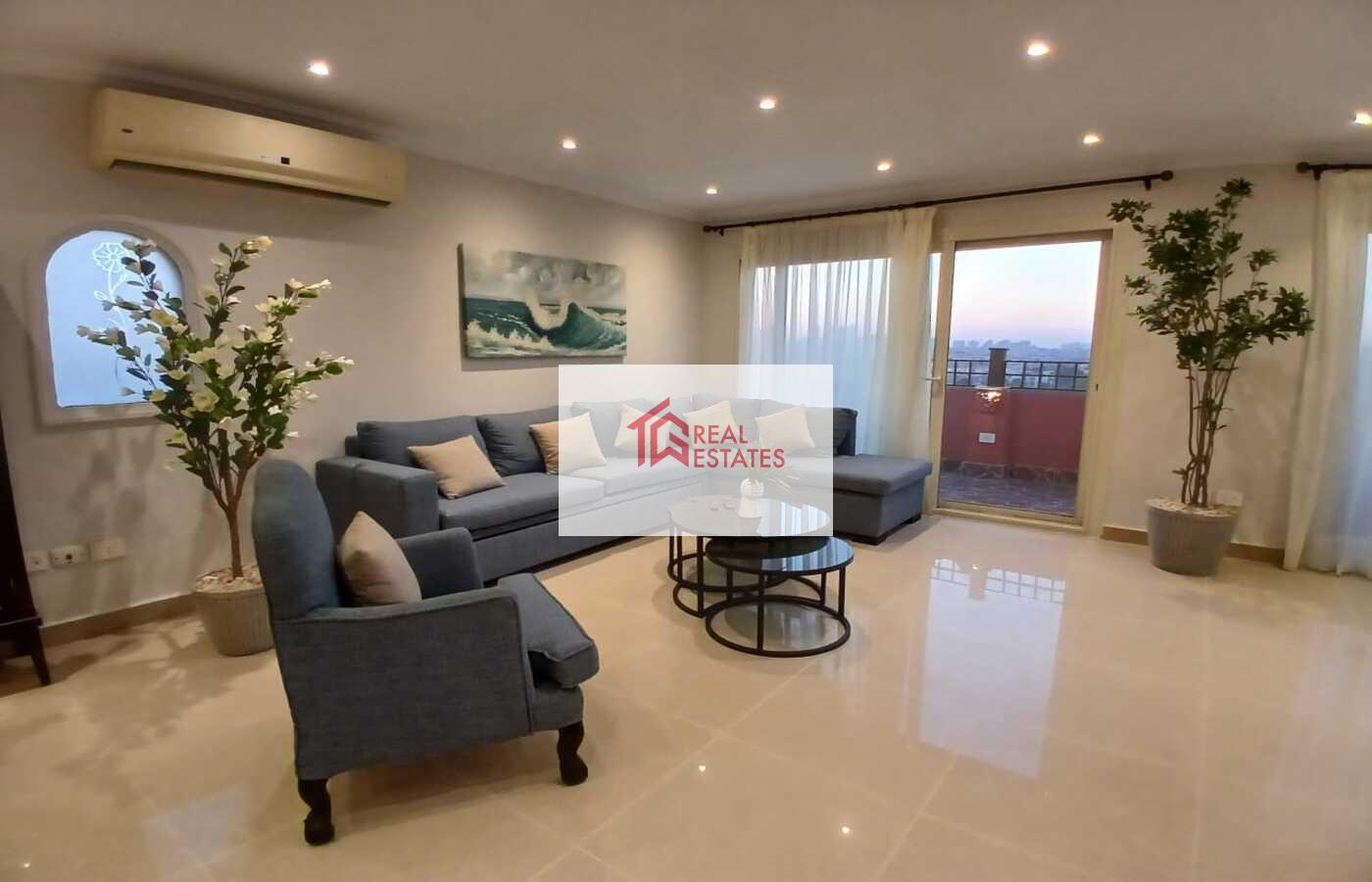 Penthouse Roof one floor Ultra modern for rent fully Furnished maadi degla egypt