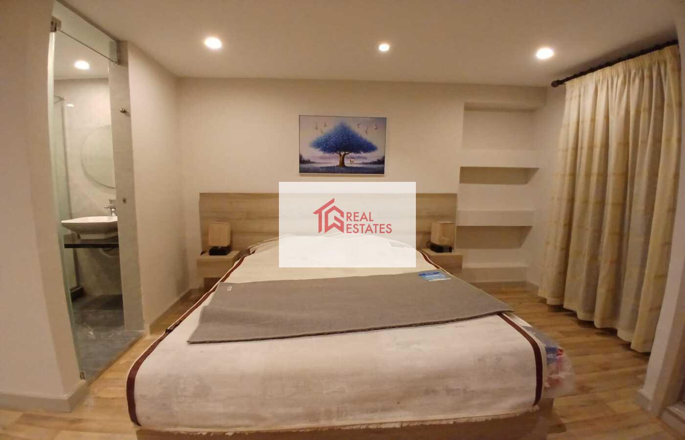 Penthouse Roof one floor Ultra modern for rent fully Furnished maadi degla egypt