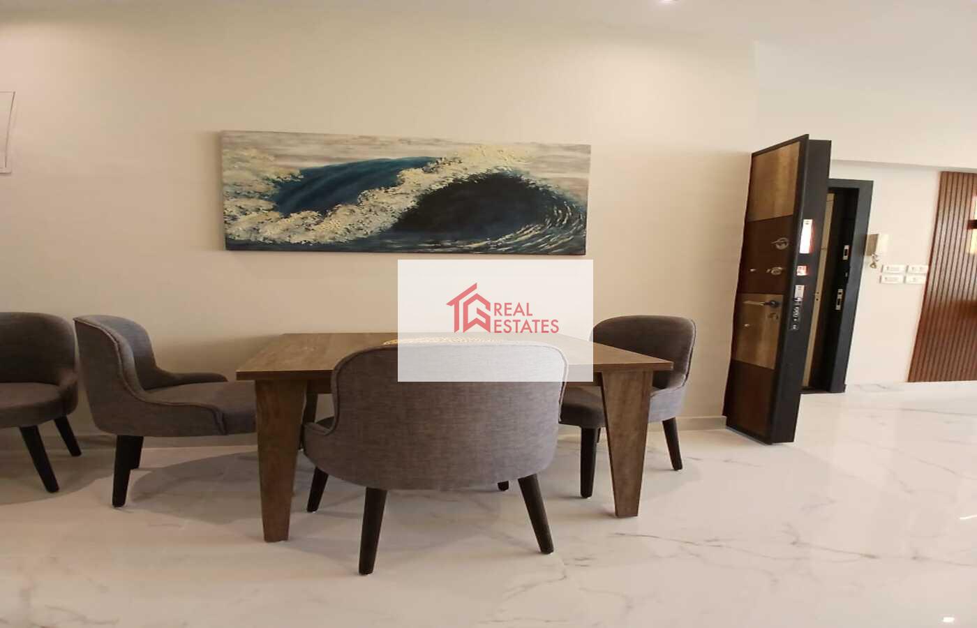 Penthouse uLtra modern for rent fully Furnished maadi degla egypt