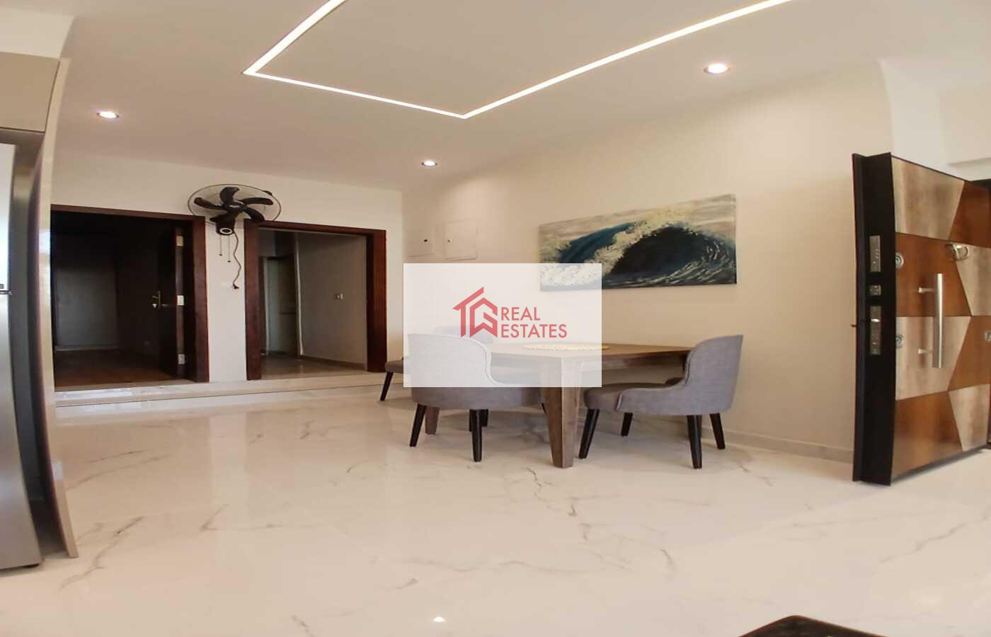 Penthouse uLtra modern for rent fully Furnished maadi degla egypt