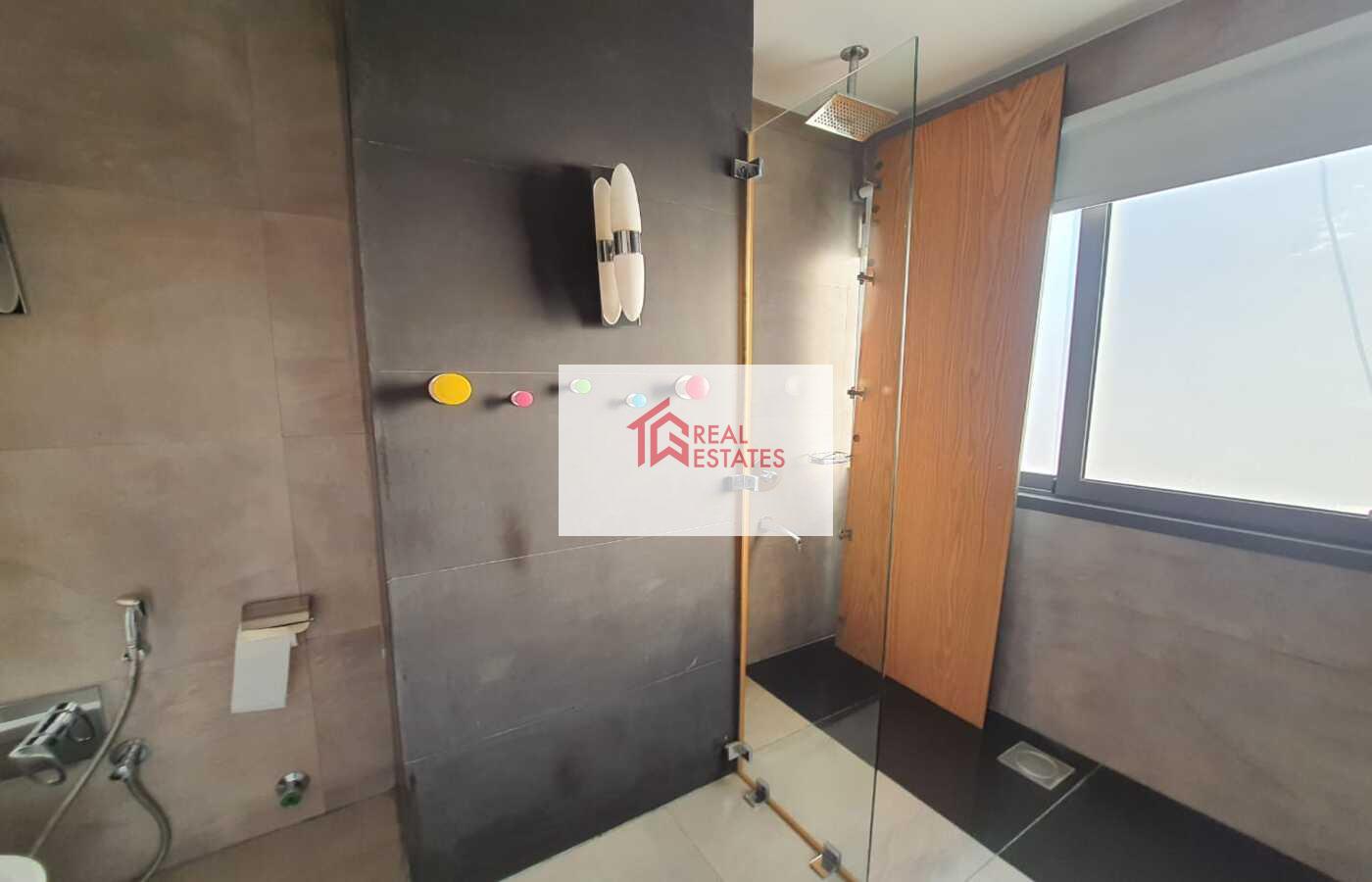 Ultra Modern Penthouse For Rent in Degla maadi - Cairo - Egypt